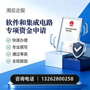 泰州软件和集成电路专项资金申报服务