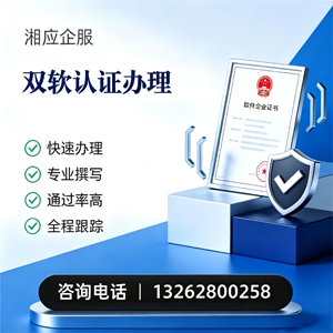 泰州双软认证申报服务