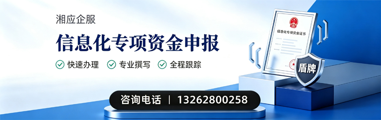 泰州信息化专项资金申报服务