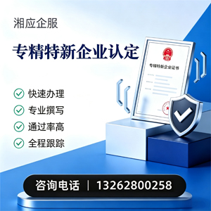 泰州专精特新企业申报服务