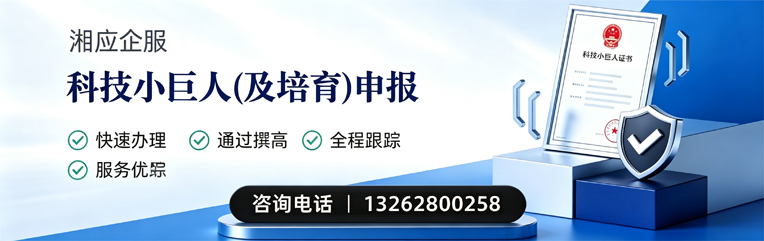 泰州科技小巨人及培育企业申报服务