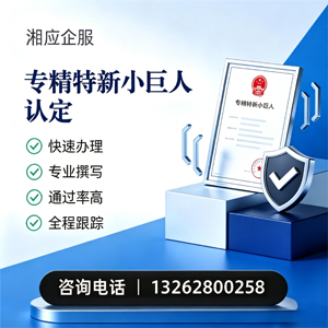 泰州专精特新小巨人申报服务