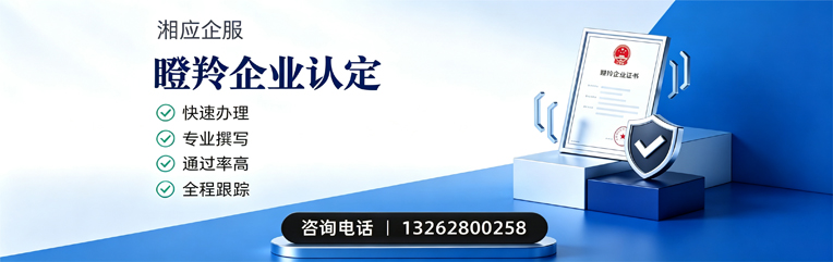 泰州瞪羚企业认定申报服务