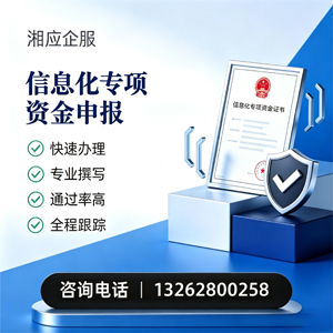 泰州信息化专项资金申报服务