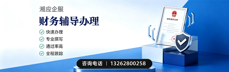 泰州财务辅导申请服务