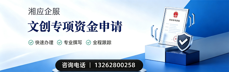 泰州文创专项资金申报服务