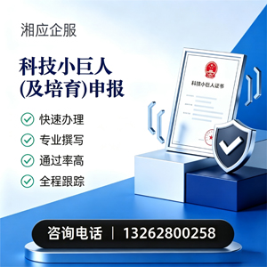 泰州科技小巨人及培育企业申报服务