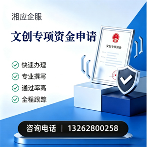 泰州文创专项资金申报服务