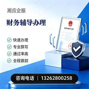 泰州财务辅导申请服务