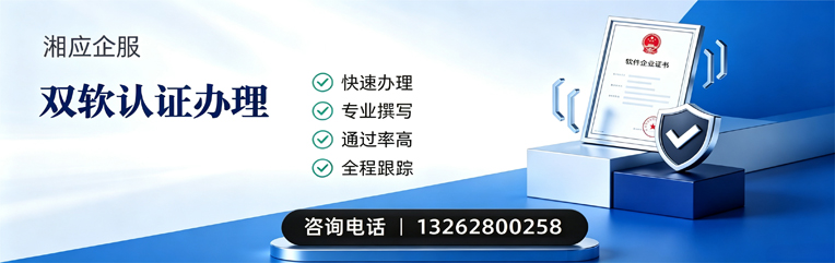 泰州双软认证申报服务