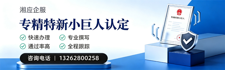 泰州专精特新小巨人申报服务